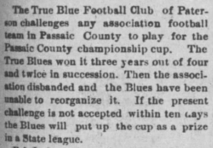 Figure 4: Passaic Daily News, January 15, 1895